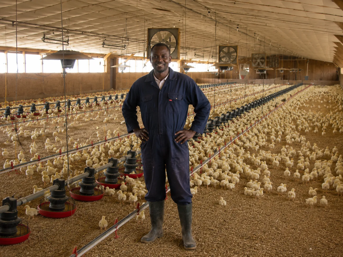 Agriculture & Food Processing