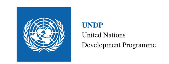 UNDP LOGO